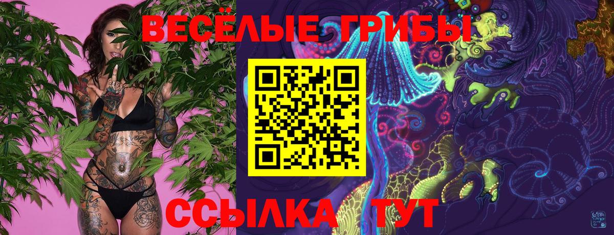 Галлюциногенные грибы GOLDEN TEACHER Кубинка