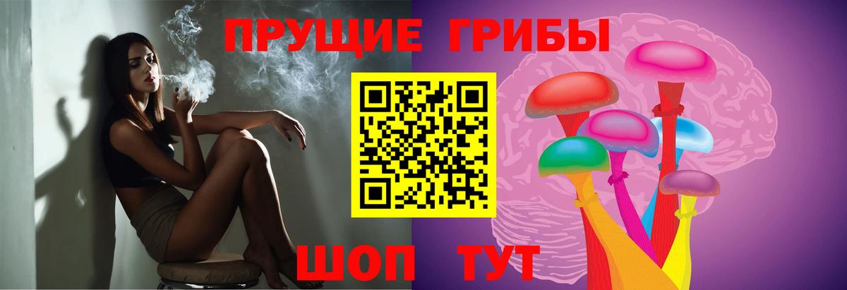 Псилоцибиновые грибы Magic Shrooms  Вход с VPN  Кубинка  Псилоцибиновые грибы Psilocybe 